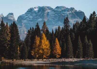 a lake with trees and mountains in the background